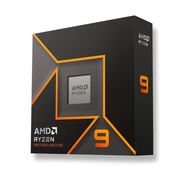 Amd Ryzen 9 9900x Processore - 4.4 Ghz