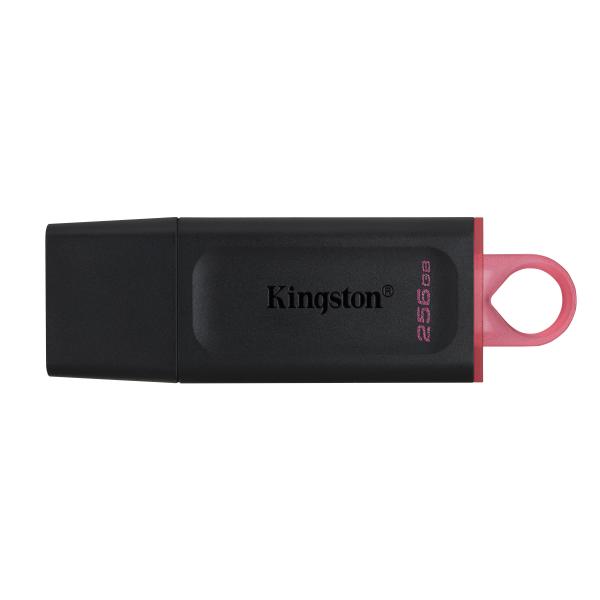 Kingston Dtx/256gb Usb 3.2 - 256 Gb