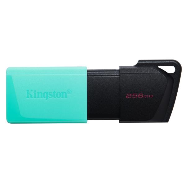 Kingston Dtxm/256gb Usb 3.2 - 256 Gb